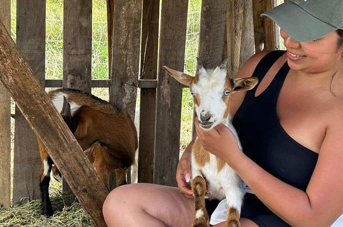 Bottle Feed & Cuddle Baby Goats at Ohana Ranch (Big Island) - What the $39 price gets you
