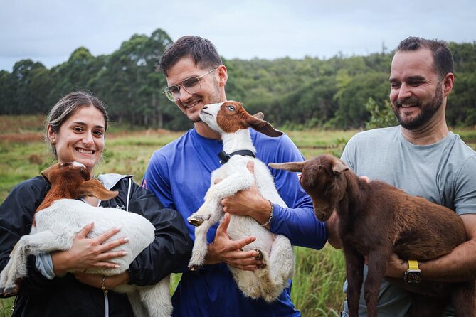 Bottle Feed & Cuddle Baby Goats at Ohana Ranch (Big Island) - Booking and cancellation details