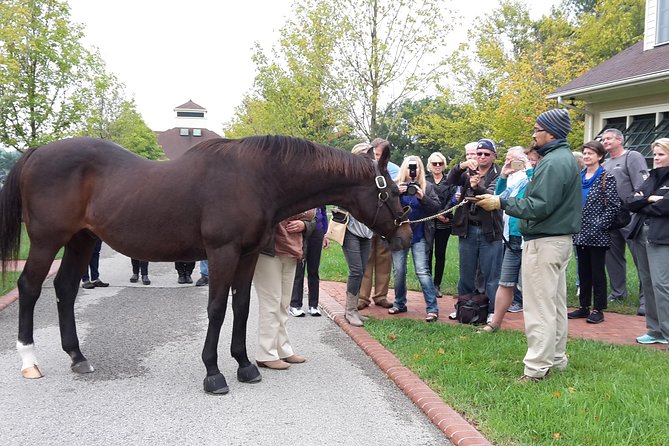 Bourbon Distillery & Horse Farm Tours - How the distillery schedule works