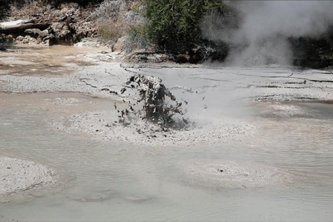 Boutique tour , Mt Maunganui, NZ farm, Rotorua lakes/geothermal - Mt Maunganui begins the day with sand and sea