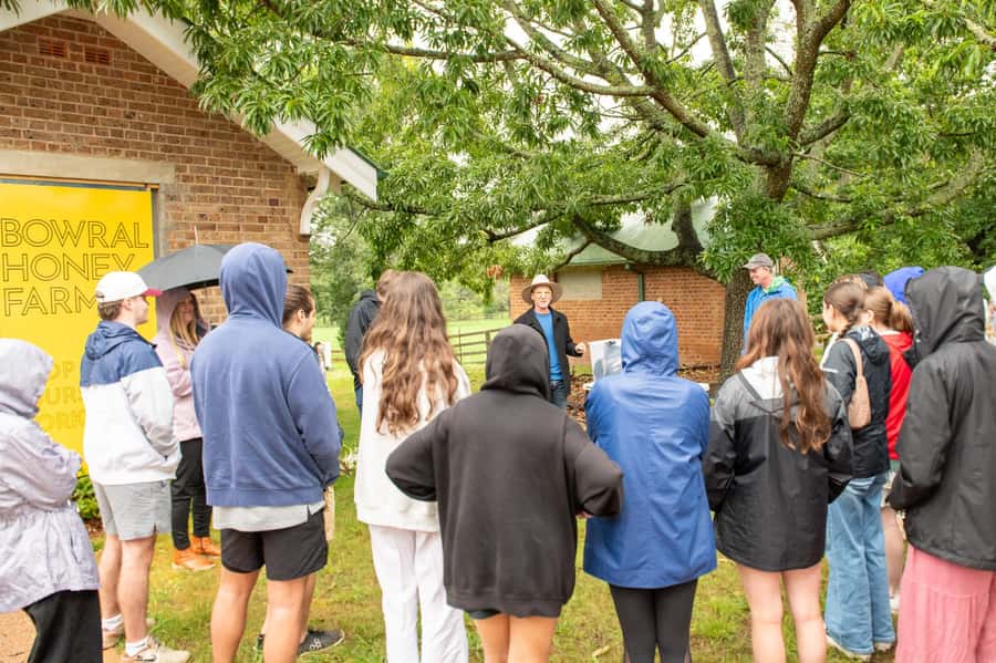Bowral Honey Farm Tour, Honey Tasting & morning Tea - Five details that make this Bowral activity worth considering