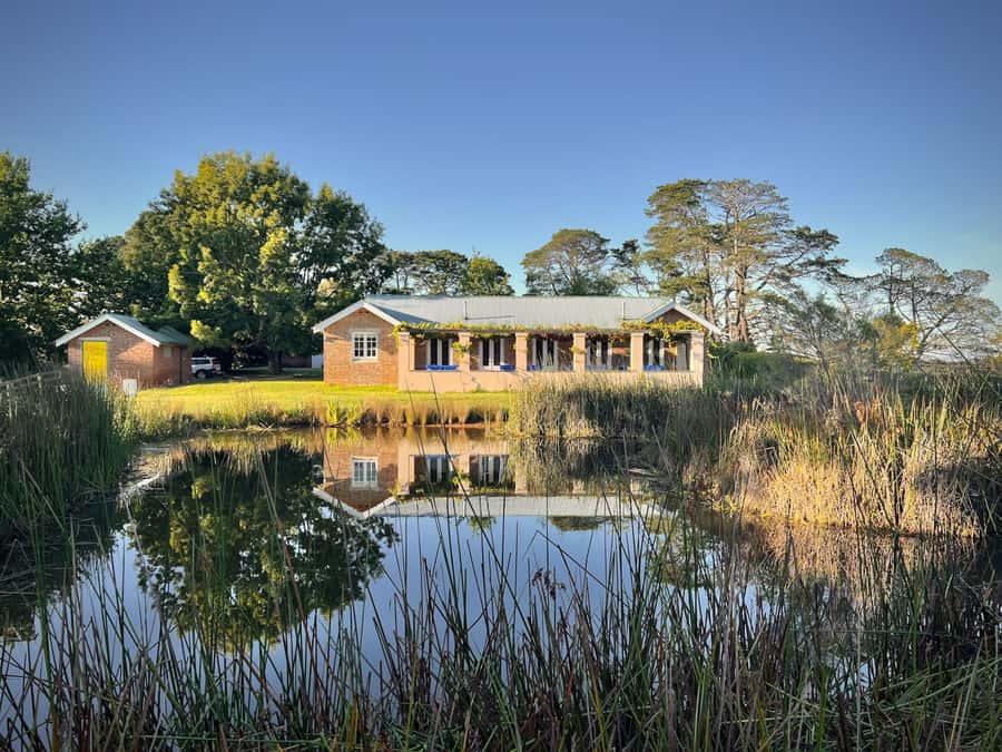 Bowral Honey Farm Tour, Honey Tasting & morning Tea - Twenty minutes beside the hives