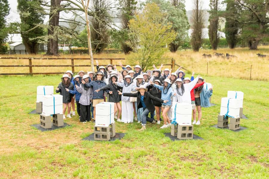 Bowral Honey Farm Tour, Honey Tasting & morning Tea - Fifteen minutes with the Flow Hive