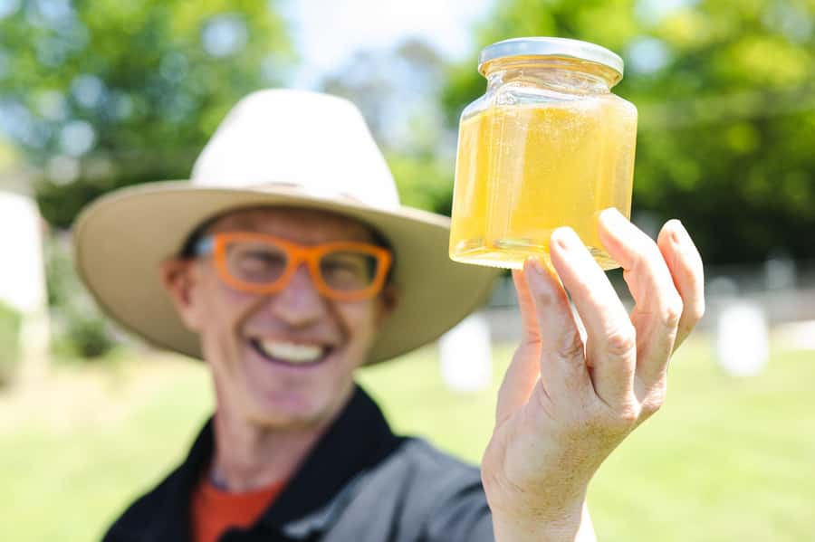 Bowral Honey Farm Tour, Honey Tasting & morning Tea - Twenty minutes tasting honey and morning tea
