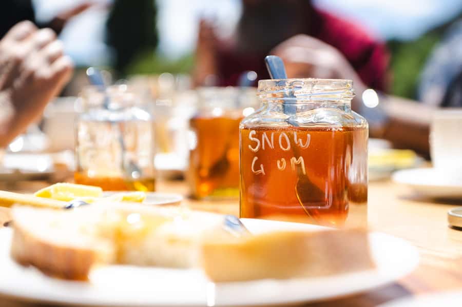 Bowral Honey Farm Tour, Honey Tasting & morning Tea - Is $29 good value for one hour?