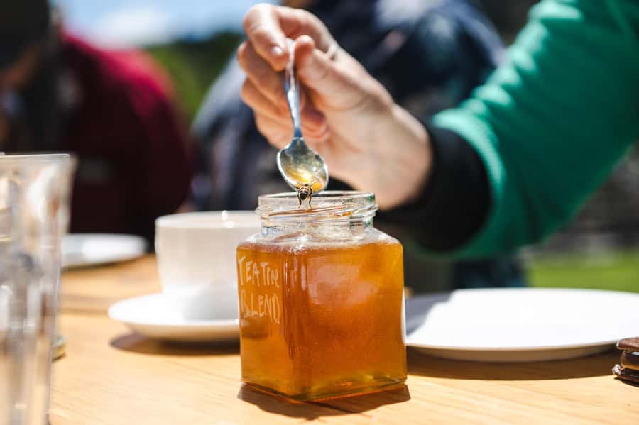 Bowral Honey Farm Tour, Honey Tasting & morning Tea - My verdict on the Bowral bee experience