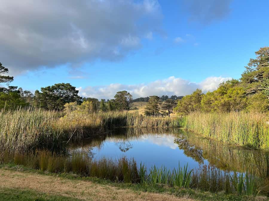 Bowral Honey Farm Tour, Honey Tasting & morning Tea - Five minutes of safety before meeting the bees