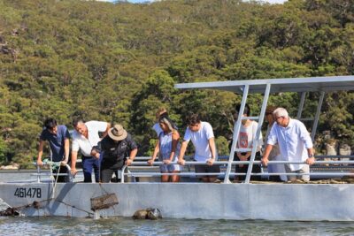 Broken Bay Pearl & Oyster Farm Tours