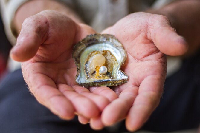 Broken Bay Pearl & Oyster Farm Tours - The scenic cruise and the river views