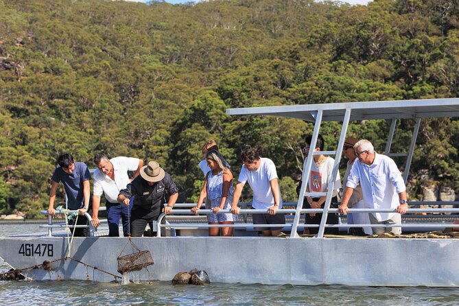 Broken Bay Pearl & Oyster Farm Tours - What you learn about pearls and oysters