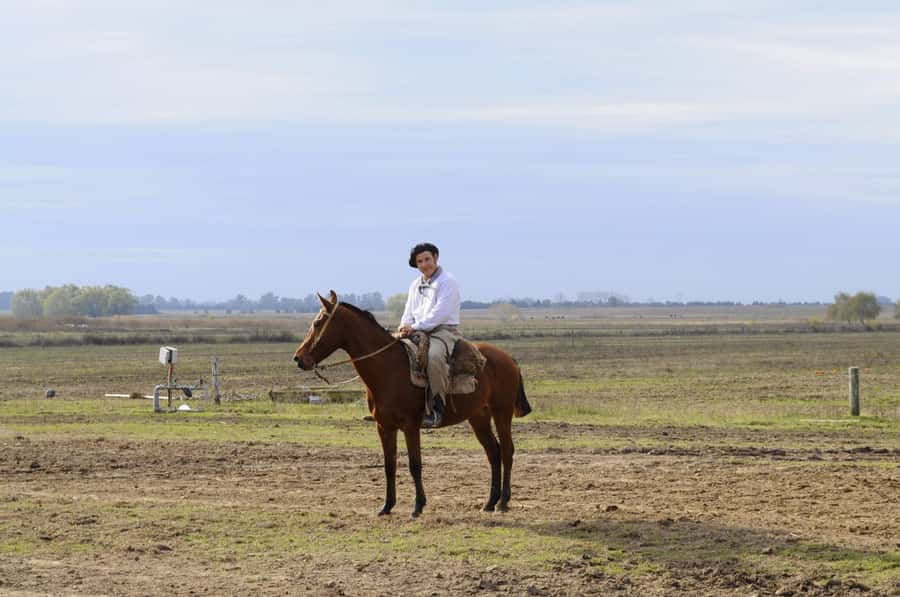 Buenos Aires: Don Silvano Ranch Gaucho Day Trip - A long asado lunch with wine and coffee
