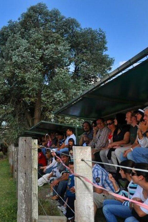 Buenos Aires: Don Silvano Ranch Gaucho Day Trip - Is $468 a fair price?