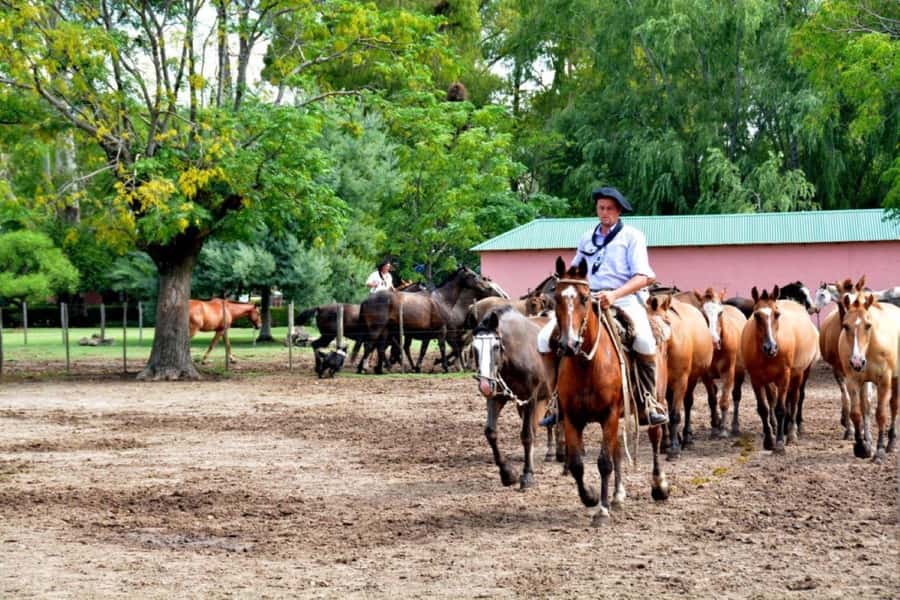 Buenos Aires: Santa Susana Ranch Day Tour, BBQ & Shows - Key points to know before booking