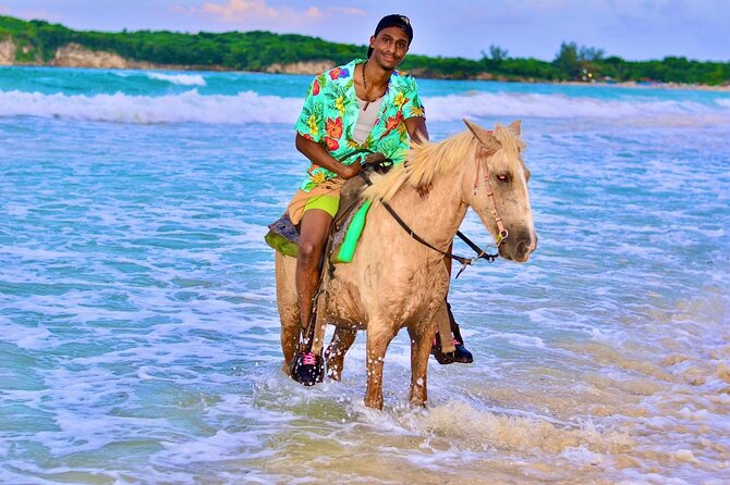 Buggy, horse and plantation ranch - Two hours on horseback near Macao Beach
