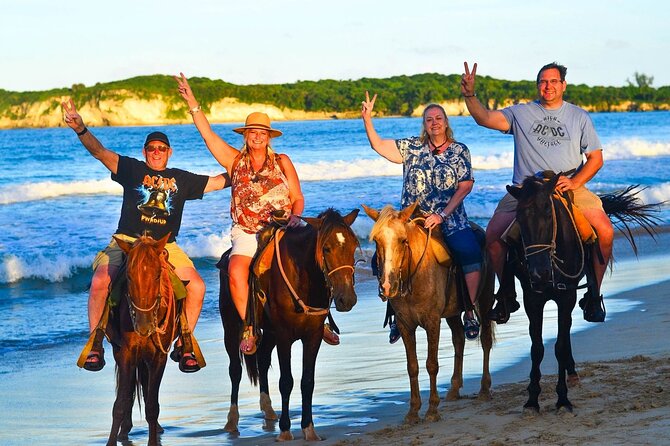 Buggy, horse and plantation ranch - Friendly guides and a small-group feel