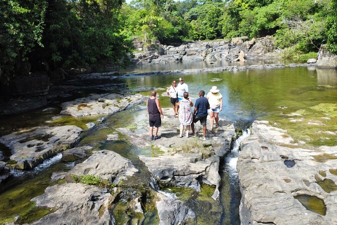 Buggy Ride, Horseback, Zipline,Eco Farm,Macao Beach - Dominican lunch, open bar, and extra-cost seafood