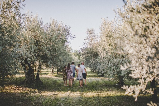 Buje: Authentic Istrian family farm, guided walk, foods & wine - Istrian food under the garden tree