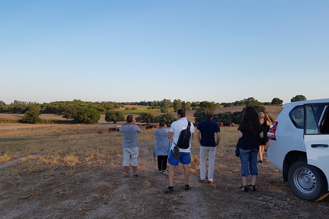 Bull Breeding Farm: Guided Half-Day Tour from Seville - Booking details and cancellation flexibility