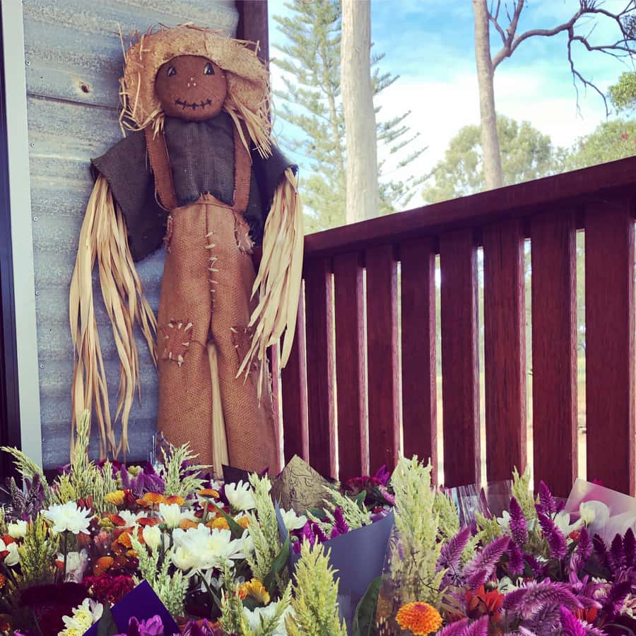 Bundaberg: Family-Friendly Entry Ticket to Splitters Farm - Key points to know before you go