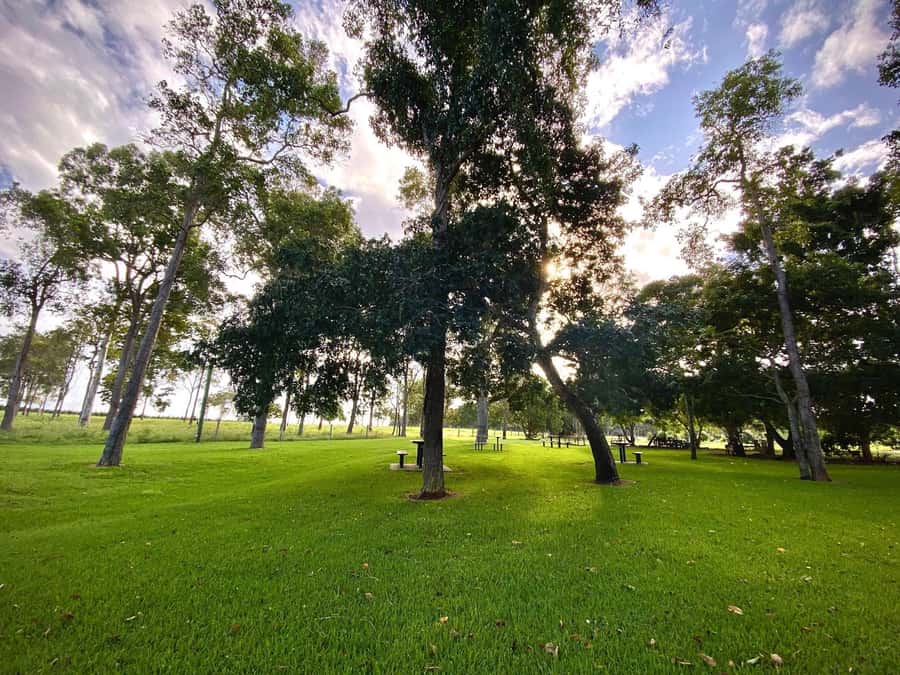 Bundaberg: Family-Friendly Entry Ticket to Splitters Farm - Arriving at Splitters Farm and getting started