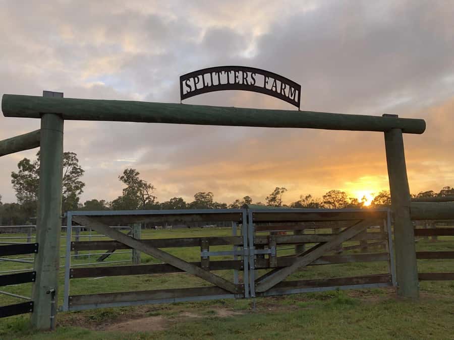 Bundaberg: Family-Friendly Entry Ticket to Splitters Farm - Feeding more than 400 rescued farm animals