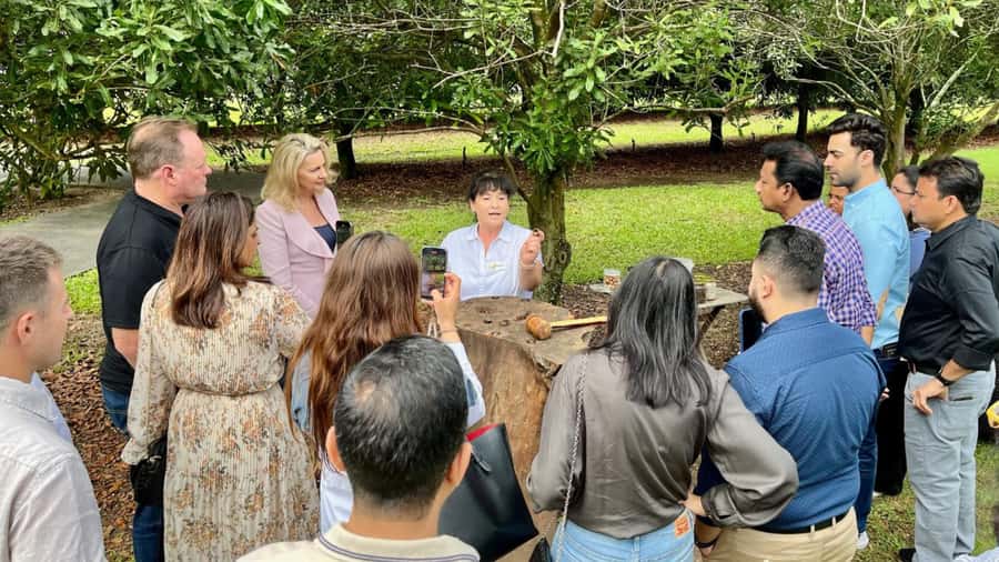 Bundaberg: Macadamia Orchard Tour - Quick Takeaways From the Macadamia Farm Visit