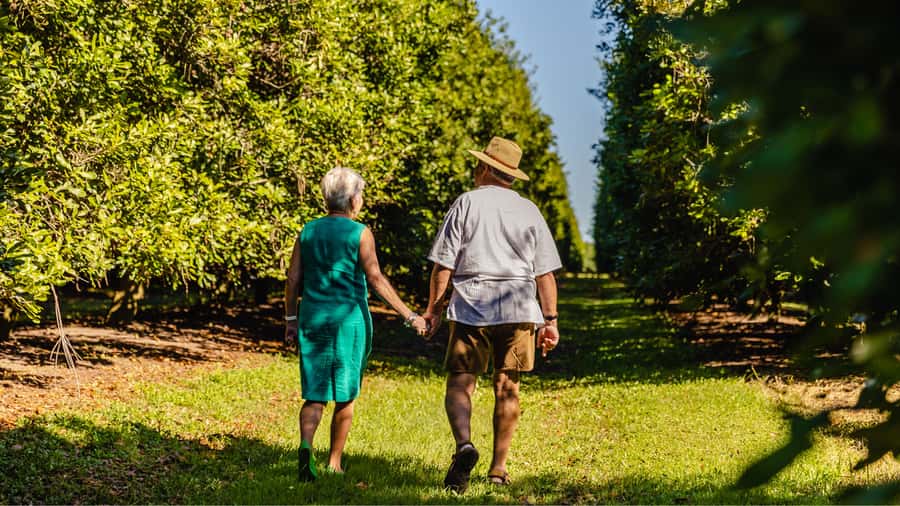 Bundaberg: Macadamia Orchard Tour - The Steinhardt Family Story