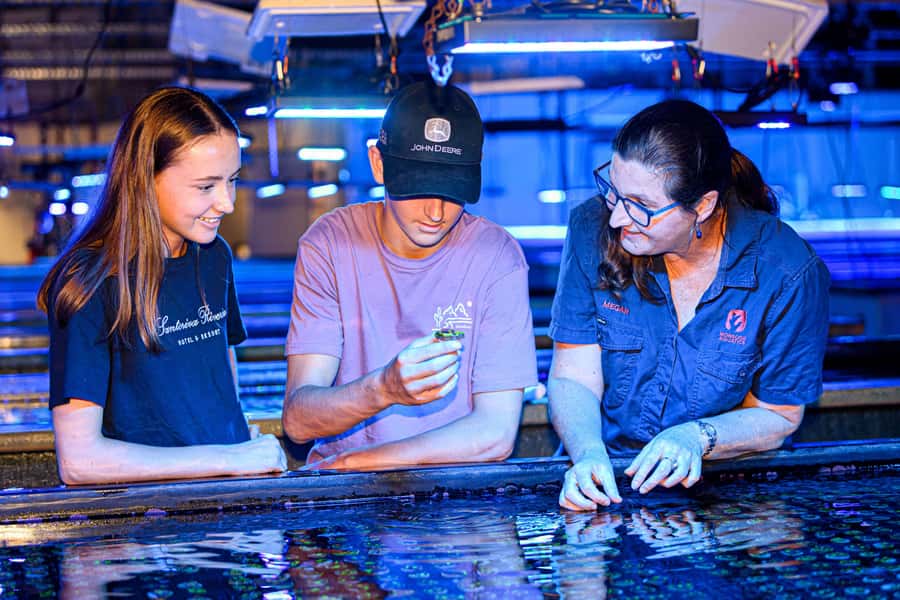 Bundaberg: Monsoon Aquatics Coral Farm Guided Tour - Key Points Before You Go