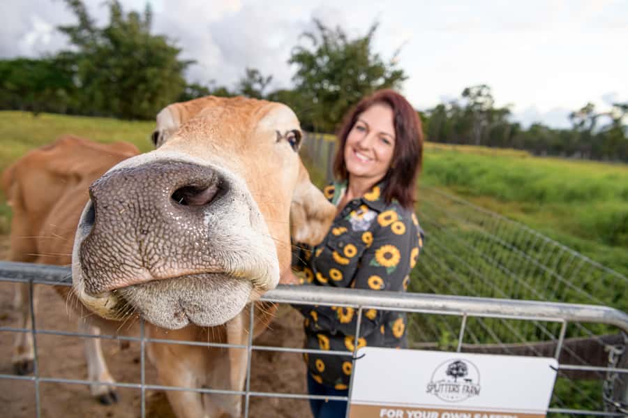 Bundaberg: Splitters Farm Guided Tour - Key points to know before you go