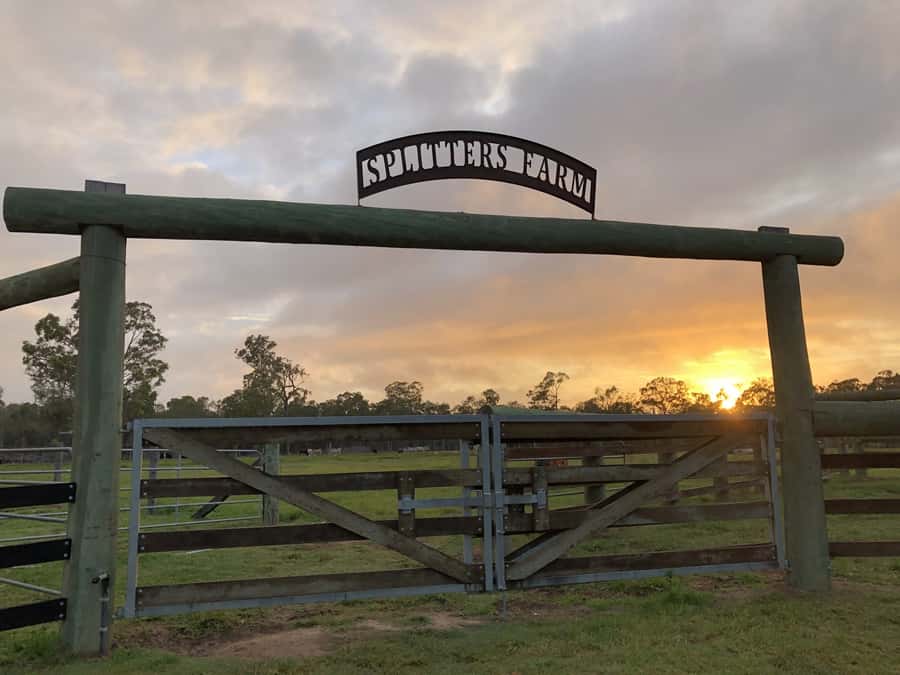 Bundaberg: Splitters Farm Guided Tour - Arriving at the Splitters Farm office