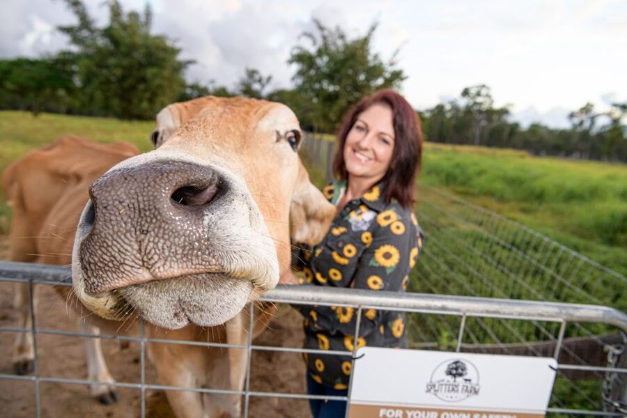 Bundaberg: Splitters Farm Guided Tour - Collecting eggs and seeing a working farm