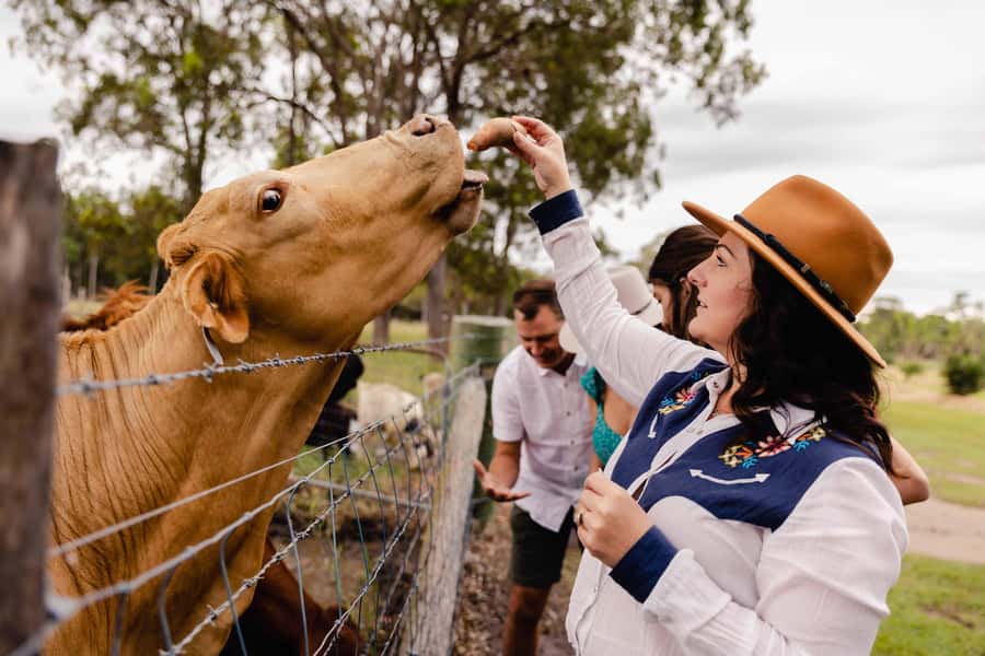 Bundaberg: Splitters Farm Guided Tour - The guide makes the difference
