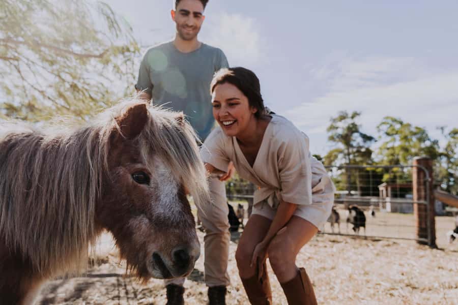 Bundaberg: Splitters Farm Guided Tour - Who will enjoy Splitters Farm most?