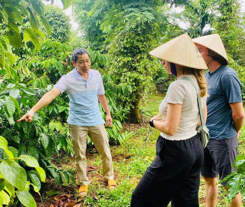 Buon Ma Thuot: Bean to Brew Coffee Farm Tour with Tasting - Key things to know before you book