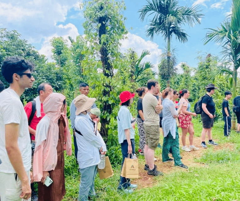 Buon Ma Thuot: Bean to Brew Coffee Farm Tour with Tasting - Organic and conventional farming, explained without slogans