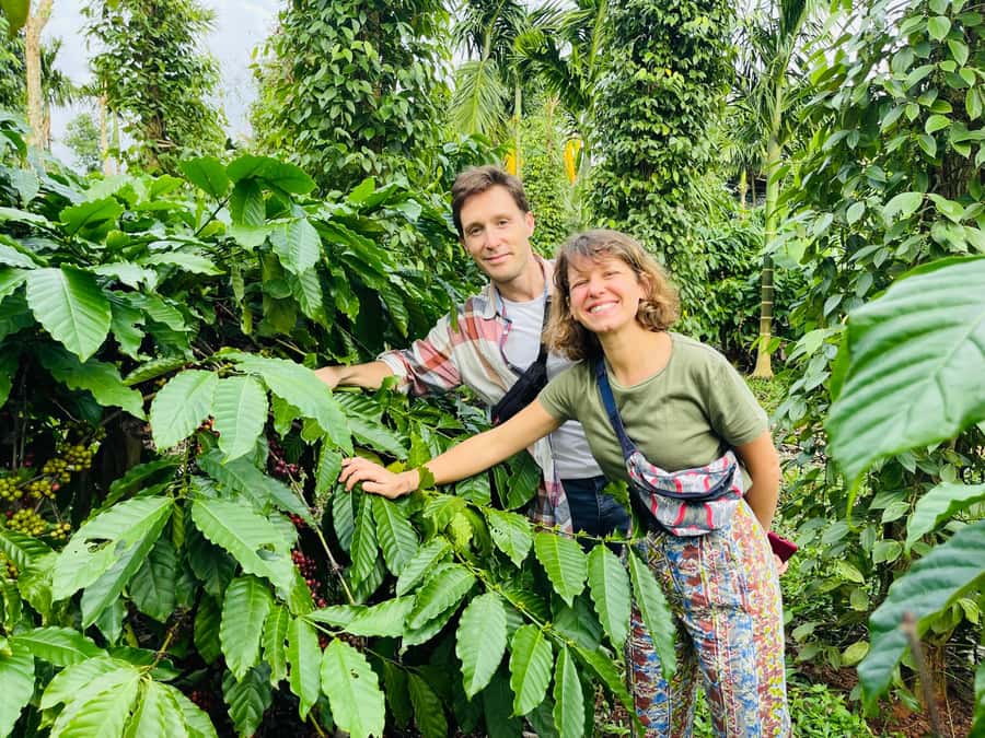 Buon Ma Thuot: Coffee Farm Tour (Bean to Brew) with Pickup - Walking through Arabica and Robusta coffee trees