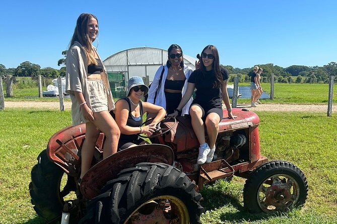 Byron Bay Day Tour: Lighthouse Sunset, The Farm and Hidden Trails - Why this Byron Bay day works so well
