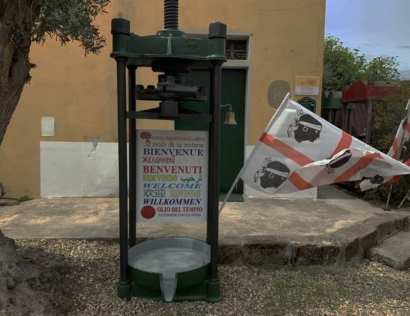 Cagliari Olive Oil Farm & Tasting (Since 1600, 20 Min Away) - Key points to know before you go