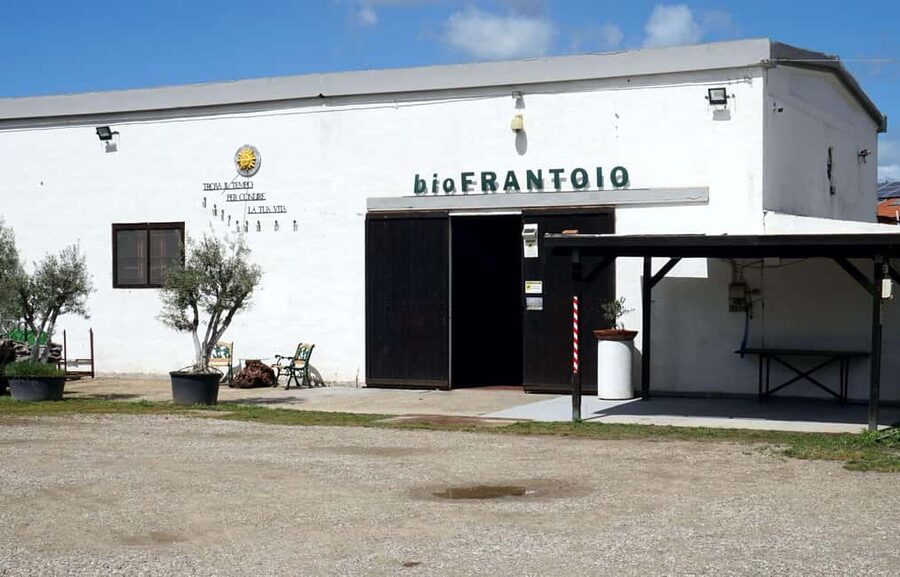 Cagliari Olive Oil Farm & Tasting (Since 1600, 20 Min Away) - Why this small farm visit works so well