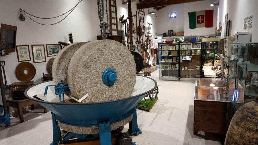 Cagliari Olive Oil Farm & Tasting (Since 1600, 20 Min Away) - The three oils: classic, citrus, and spicy