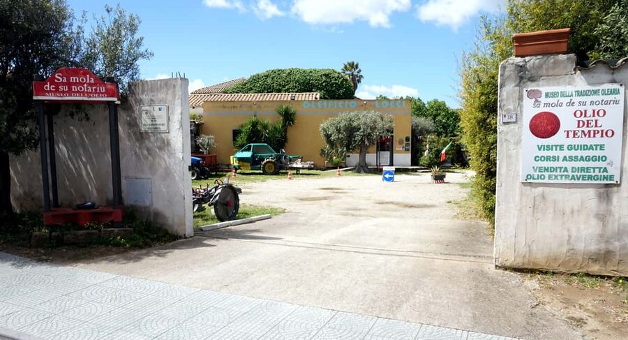 Cagliari Olive Oil Farm & Tasting (Since 1600, 20 Min Away) - Starting in Dolianova, 20 minutes from Cagliari