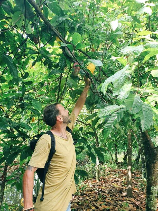 Can Tho: Countryside Cycling Tour with Cocoa Farm Visit - Key points at a glance