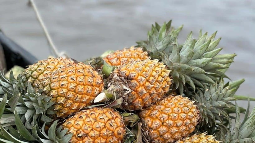 Can Tho: Floating Market explore local life, Mekong farm - A 5:30 AM start gets you to Cai Rang at the right time