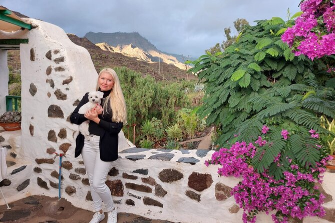 Canarian farmhouse in Mogan, mango farm and vermouth factory - What the mango plantation adds to the visit