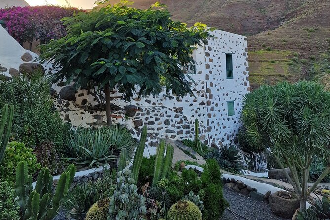 Canarian farmhouse in Mogan, mango farm and vermouth factory - Tasting Lolito, Gran Canaria’s first vermouth