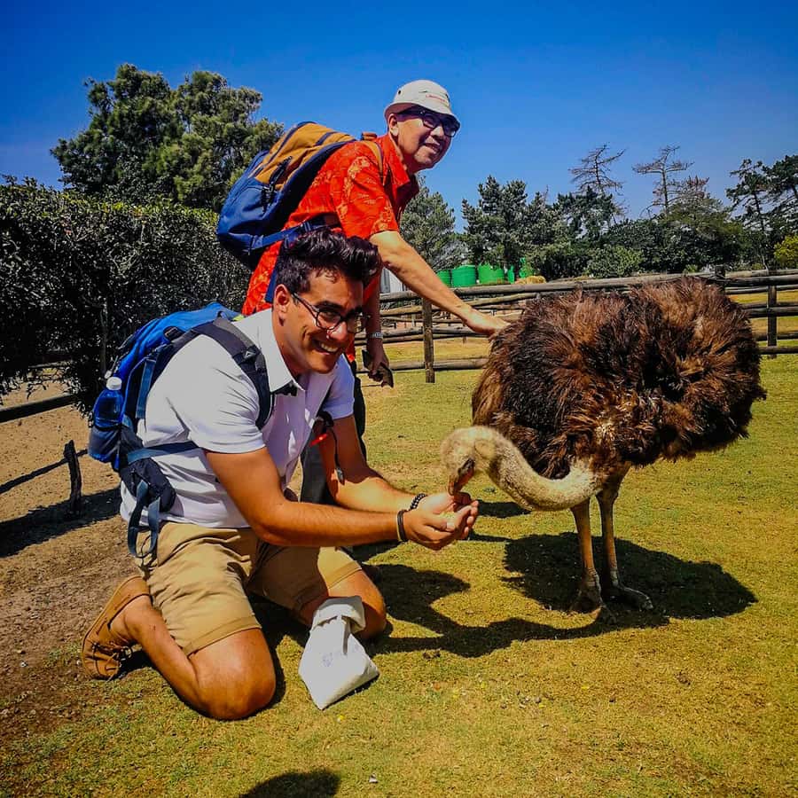 CAPE TOWN: OSTRICH RANCH QUAD BIKE RIDE & OSTRICH TOUR - Key points at a glance