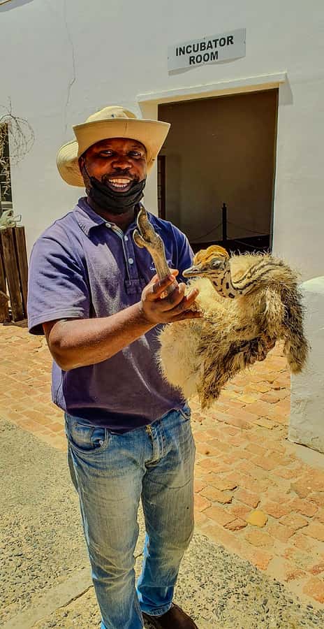 CAPE TOWN: OSTRICH RANCH QUAD BIKE RIDE & OSTRICH TOUR - Why the route suits some riders better than others
