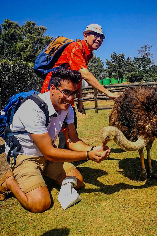 CAPE TOWN: OSTRICH RANCH QUAD BIKE RIDE & OSTRICH TOUR - Is the $62 price fair?
