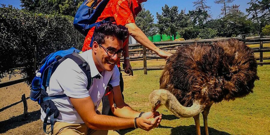 CAPE TOWN: OSTRICH RANCH QUAD BIKE RIDE & OSTRICH TOUR - Practical preparation for a smoother visit