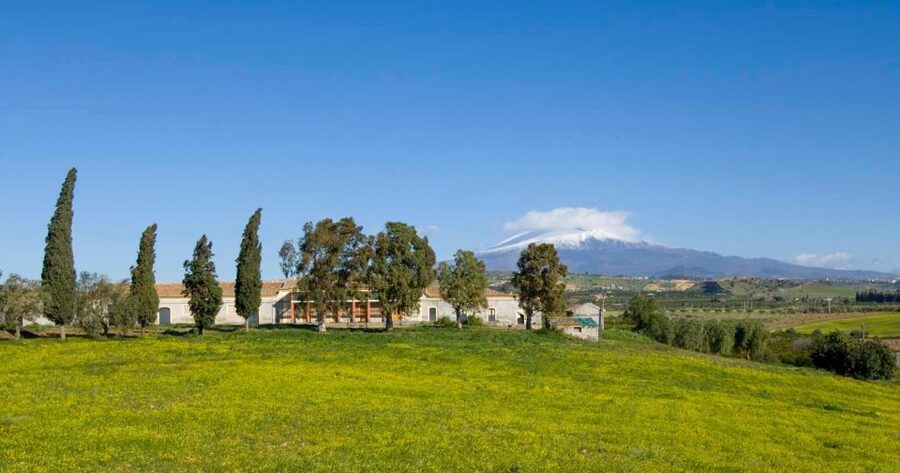 Catania: Pozzo di Gaspare Farm Guided Tour with Tastings - What the two-hour itinerary feels like